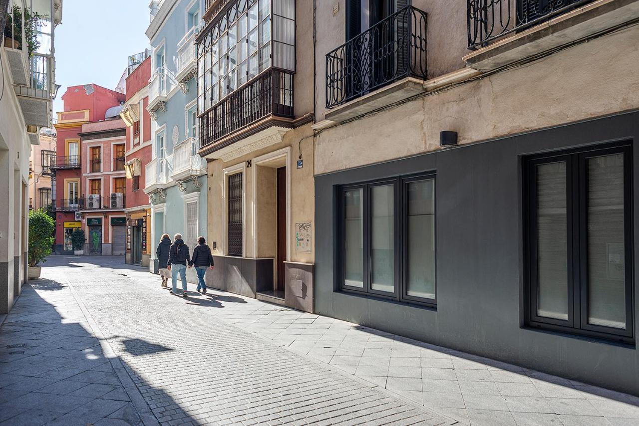 Alohamundi F&g Seville
